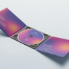 L'album "The Day We Decided To Live At Night" 2025 – Image 5