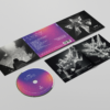 L'album "The Day We Decided To Live At Night" 2025 – Image 4