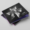 L'album "The Day We Decided To Live At Night" 2025 – Image 3